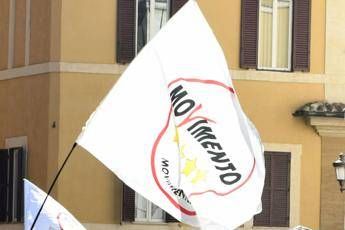M5S, domani i dati delle parlamentarie M5S, domani i dati delle parlamentarie